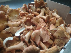 washington state local ingredients